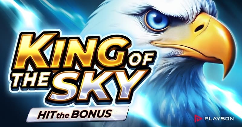 King of the Sky: Hit The Bonus official cover